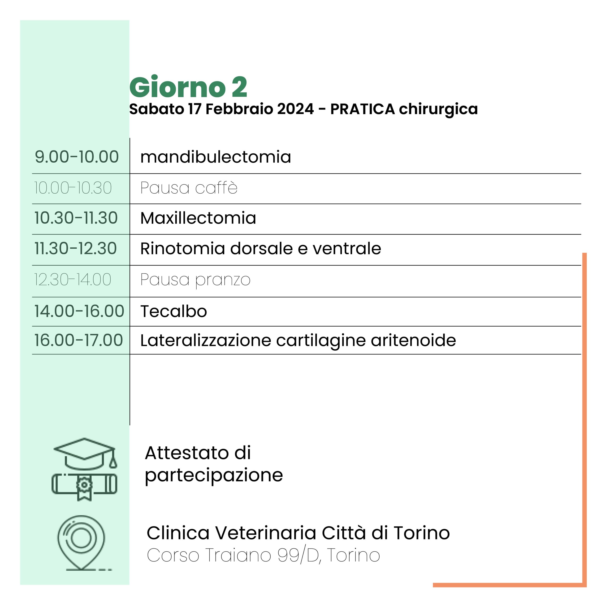 chirurgia-testa-collo-torino-veterinario-corso-programma-2