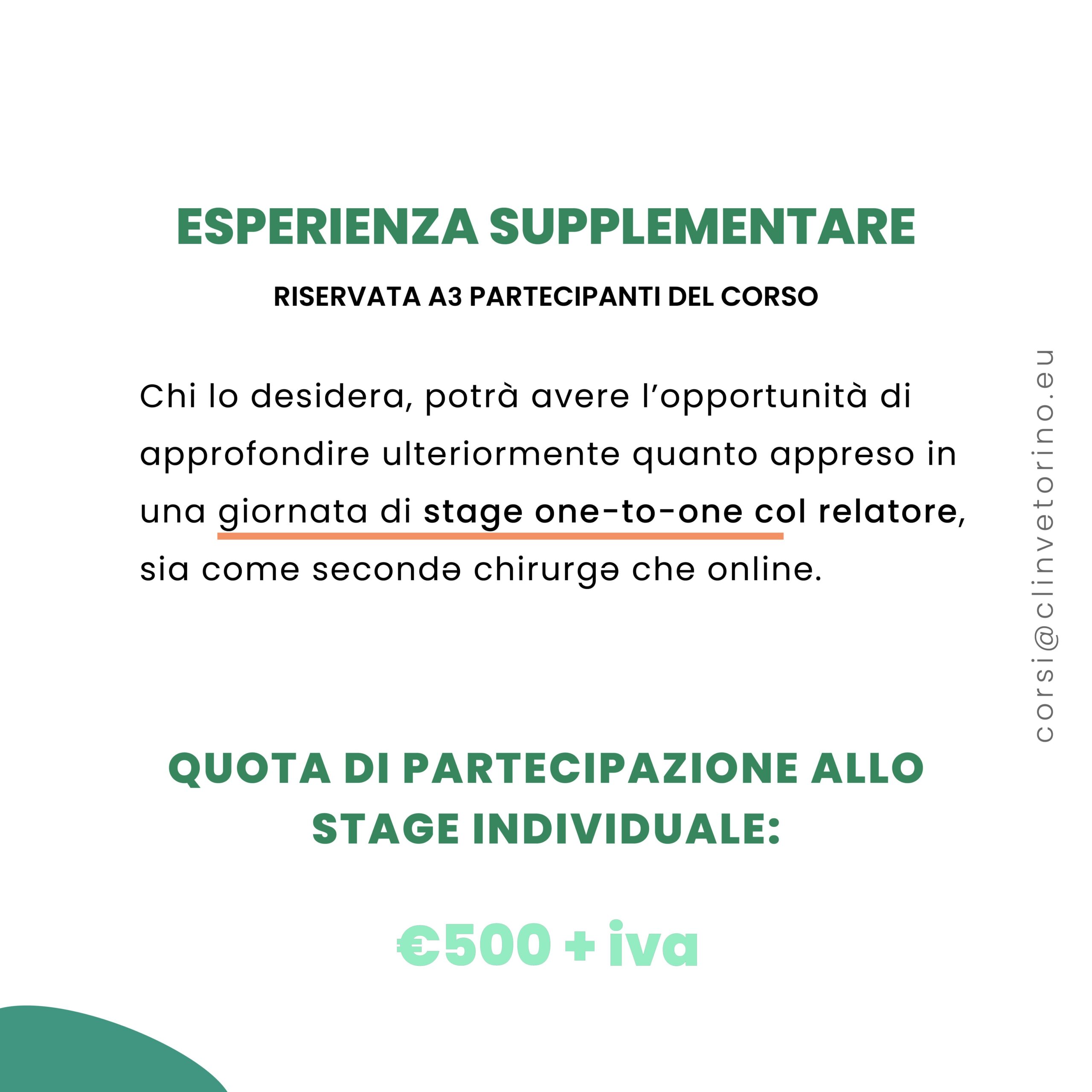chirurgia-veterinaria-torino-corso-formazione-endocrina-collivignarelli-2024 (5)