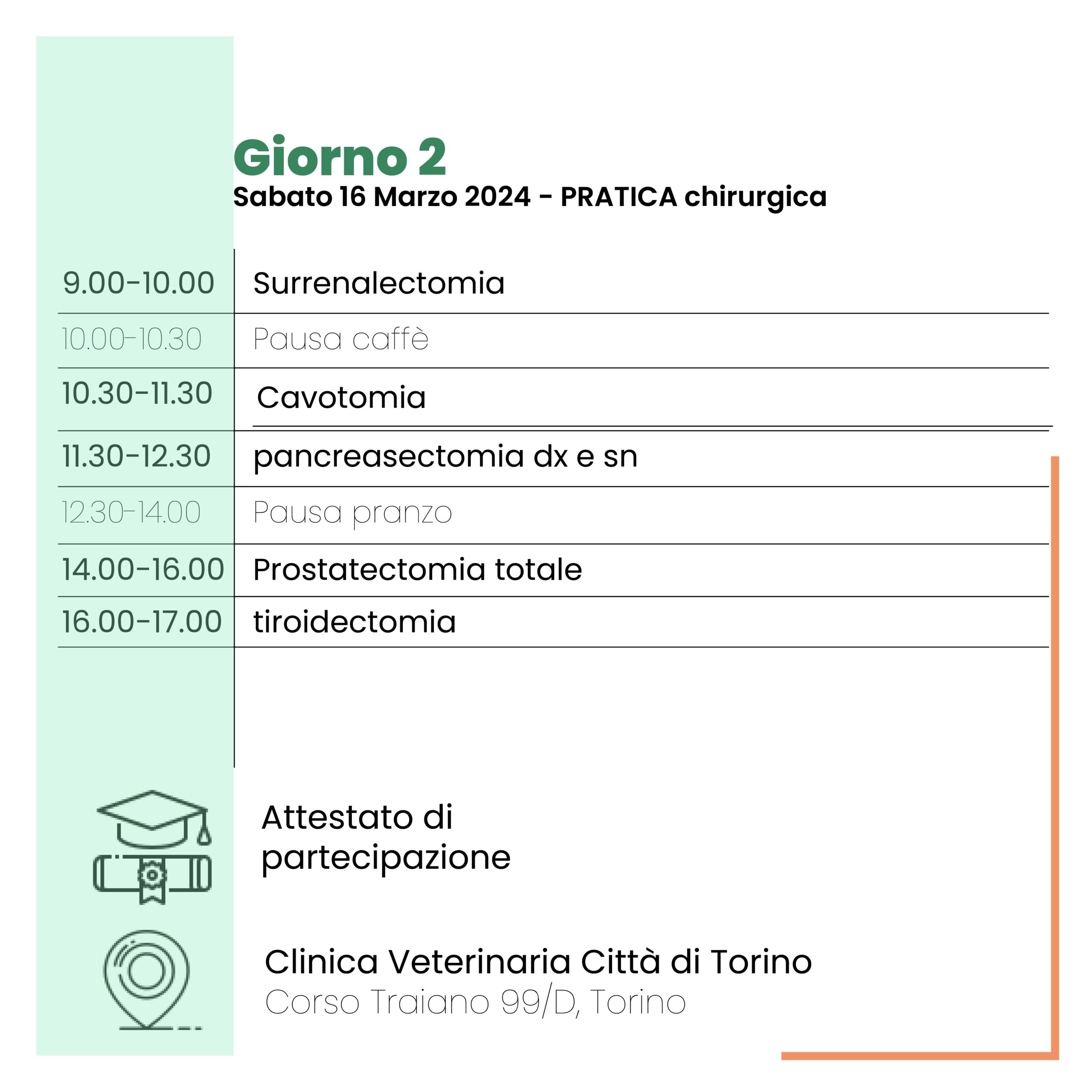 chirurgia-veterinaria-torino-corso-formazione-endocrina-collivignarelli-2024 (8)