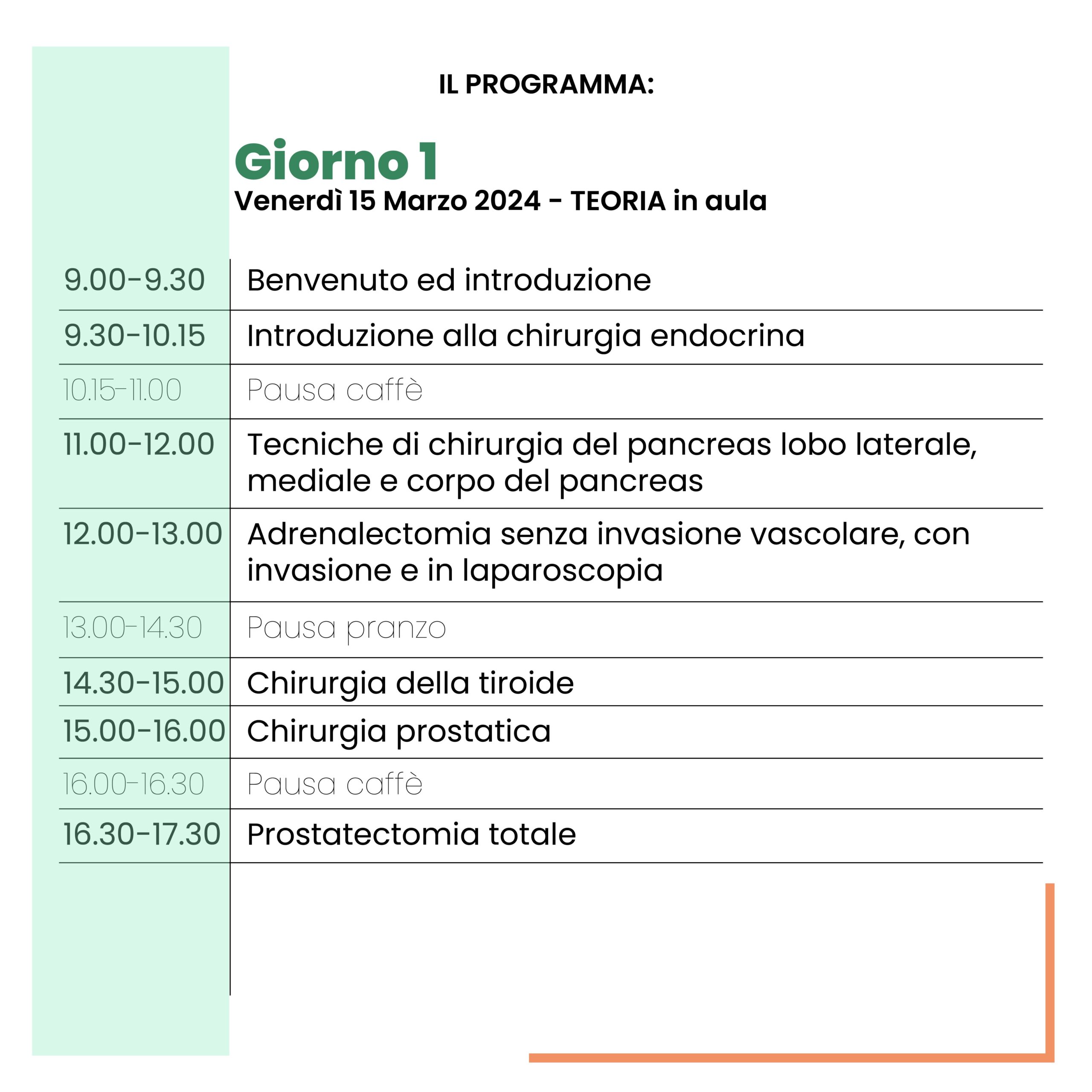 chirurgia-veterinaria-torino-corso-formazione-endocrina-collivignarelli-2024 (9)