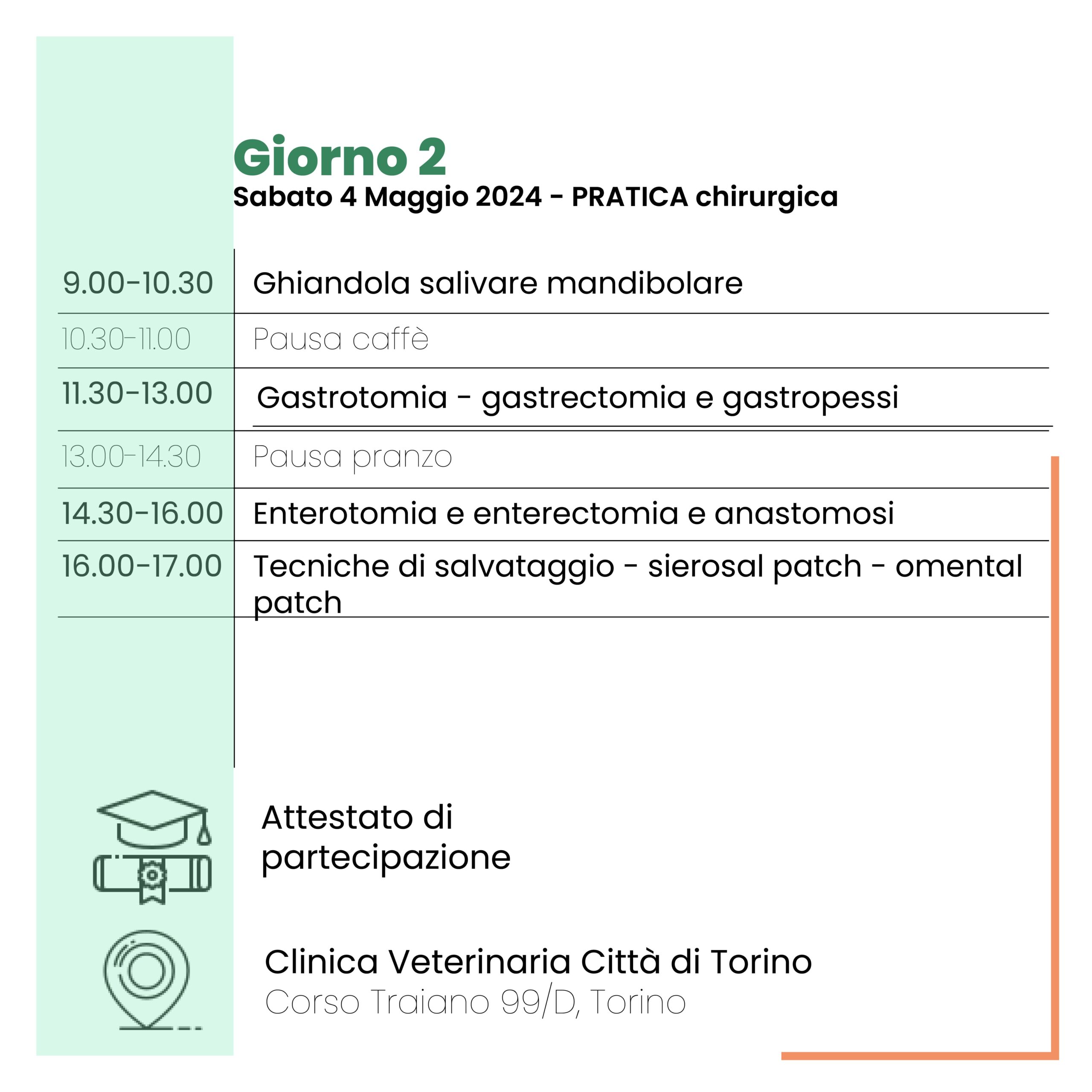 chirurgia-corso-formazione-veterinaria-torino-collivignarelli-gastroenterologia-gastrotomia-gastropessi-pratica