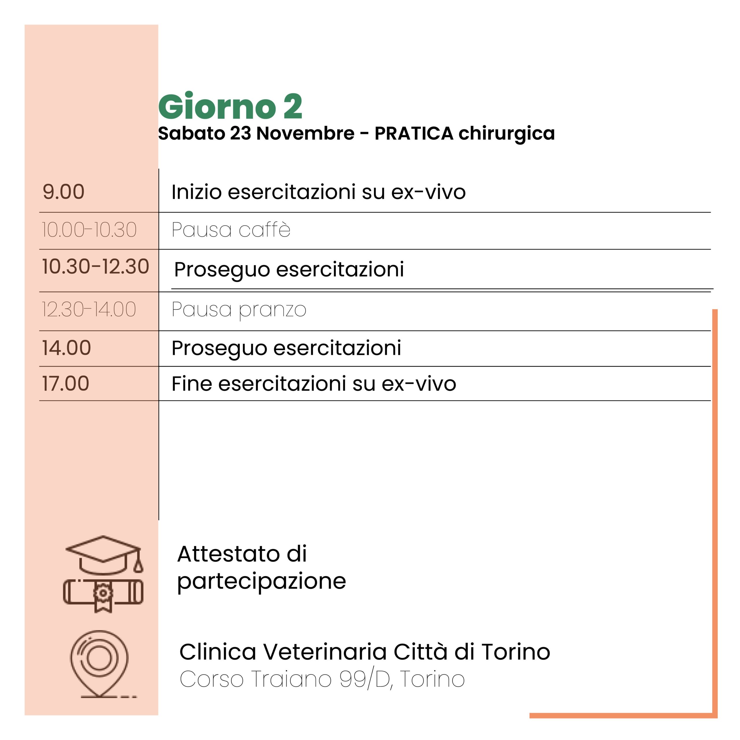 corso-chirurgia-urinaria-veterinaria-torino-collivignarelli-formazione-2024-torino-programma (1)