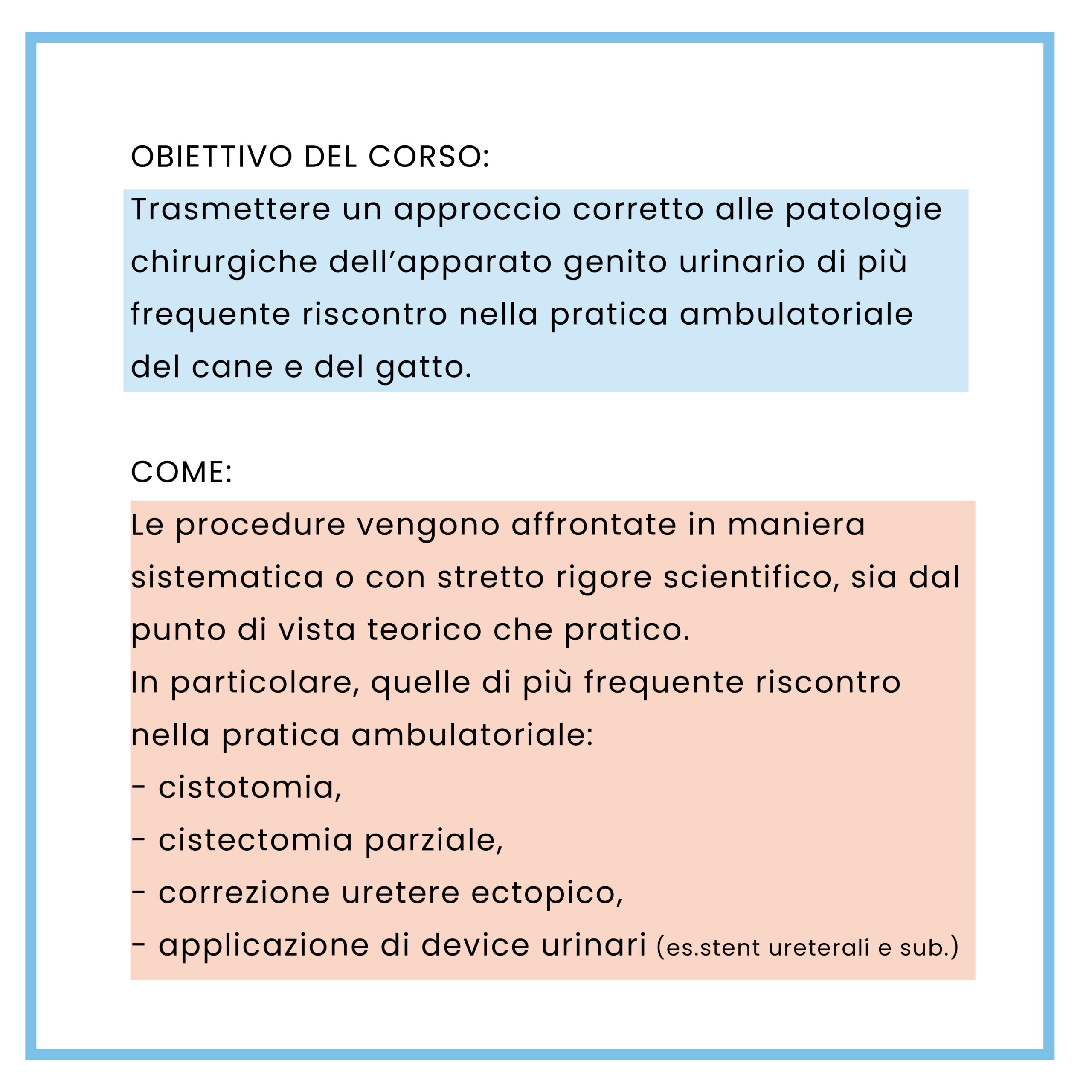 corso-chirurgia-urinaria-veterinaria-torino-collivignarelli-formazione-2024-torino-programma (10)