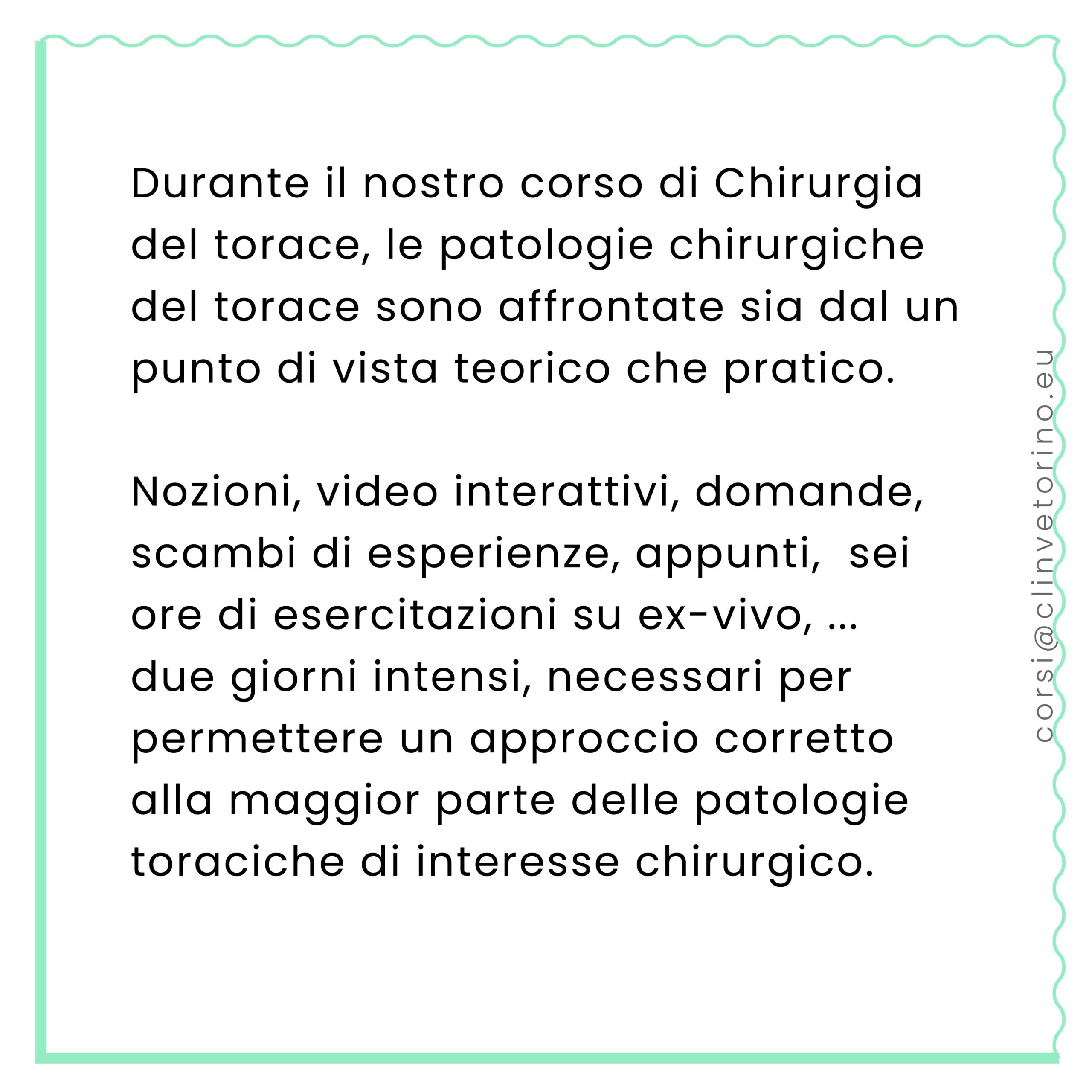 corso-formazione-veterinaria-chirurgia-torino-collivignarelli-clinvetorino-2024 (8)