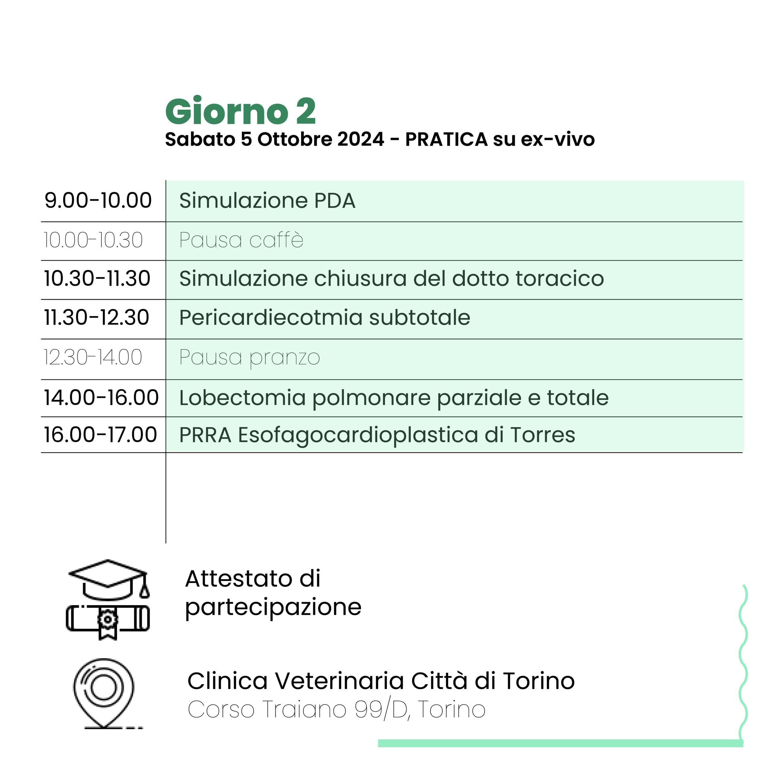 corso-formazione-veterinaria-chirurgia-torino-collivignarelli-clinvetorino-2024 (9)