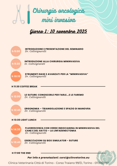 CHIRURGIA_MINI_INVASIVA_ONCOLOGICA_FORMAZIONE_VETERINARIA_DR. COLLIVIGNARELLI_2025_ALCYON_CLINVETORINO_PROMO ESTATE (2)