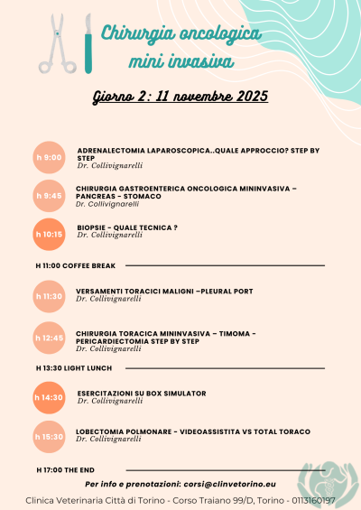 CHIRURGIA_MINI_INVASIVA_ONCOLOGICA_FORMAZIONE_VETERINARIA_DR. COLLIVIGNARELLI_2025_ALCYON_CLINVETORINO_PROMO ESTATE (3)