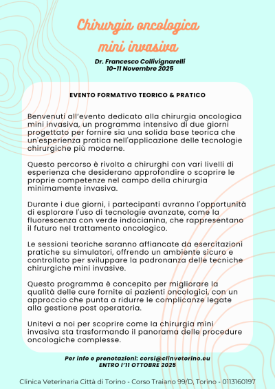 CHIRURGIA_MINI_INVASIVA_ONCOLOGICA_FORMAZIONE_VETERINARIA_DR. COLLIVIGNARELLI_2025_ALCYON_CLINVETORINO_PROMO ESTATE (4)