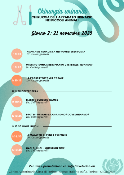 Chirurgia urinaria-formazione-veterinaria-clinvrtorino-alcyon-collivignarelli (3)