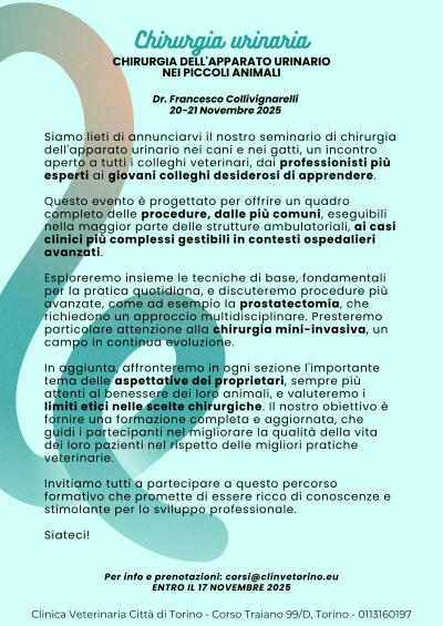 Chirurgia urinaria-formazione-veterinaria-clinvrtorino-alcyon-collivignarelli (4)