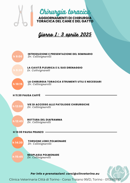 chirurgia-torace-programma-formazione-veterinari-chirurgia-collivignarelli-clinvetorino_2