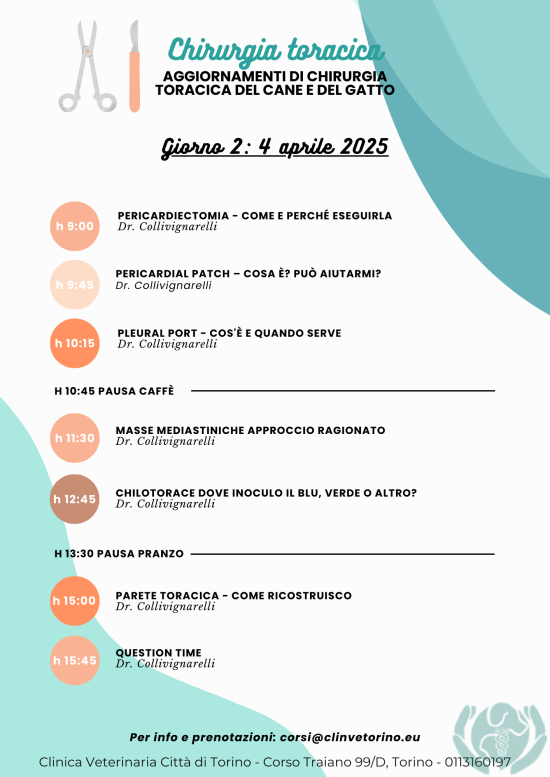 chirurgia-torace-programma-formazione-veterinari-chirurgia-collivignarelli-clinvetorino_3